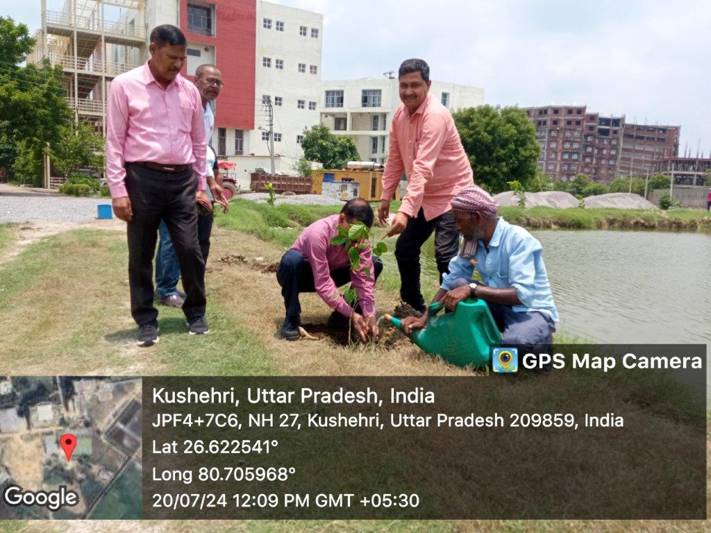 Tree Plantation